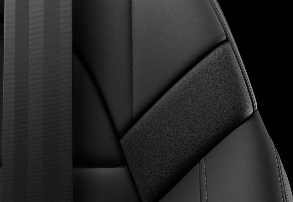 Polestar 2 Nordic Edition billede 11