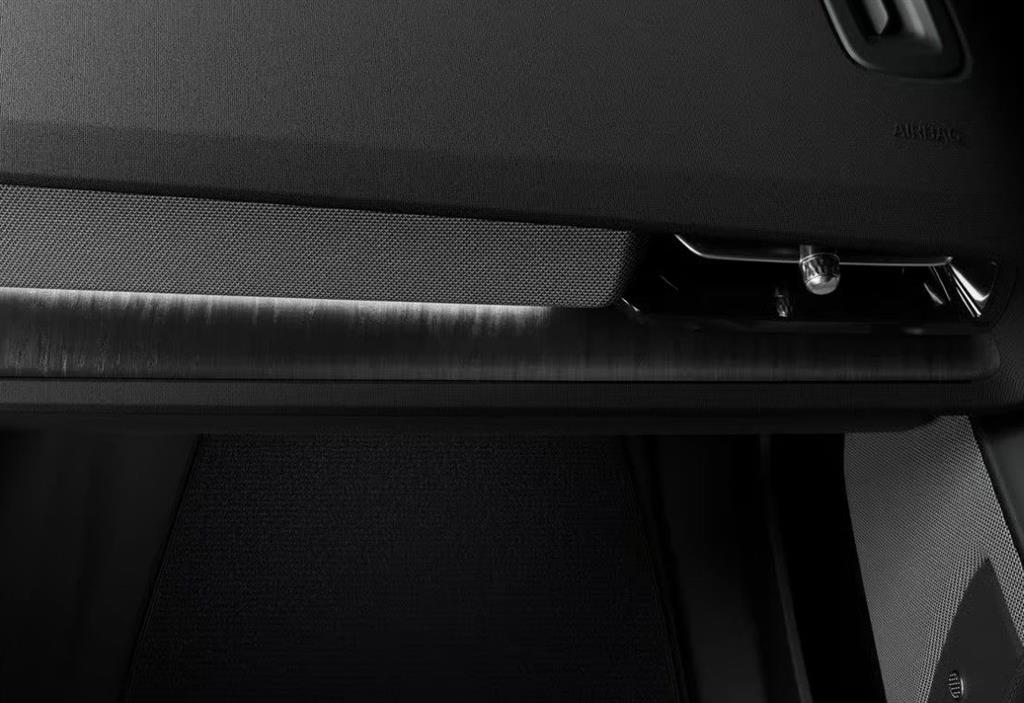 Polestar 2 Nordic Edition billede 10