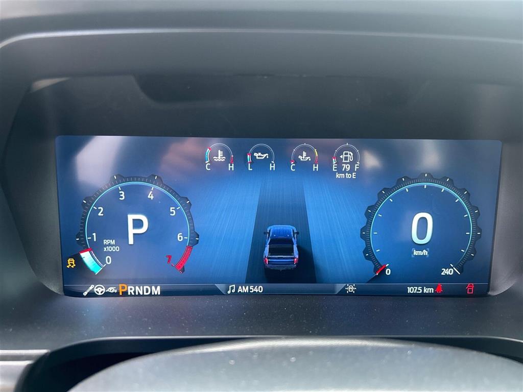 Ford F 150 Raptor billede 14