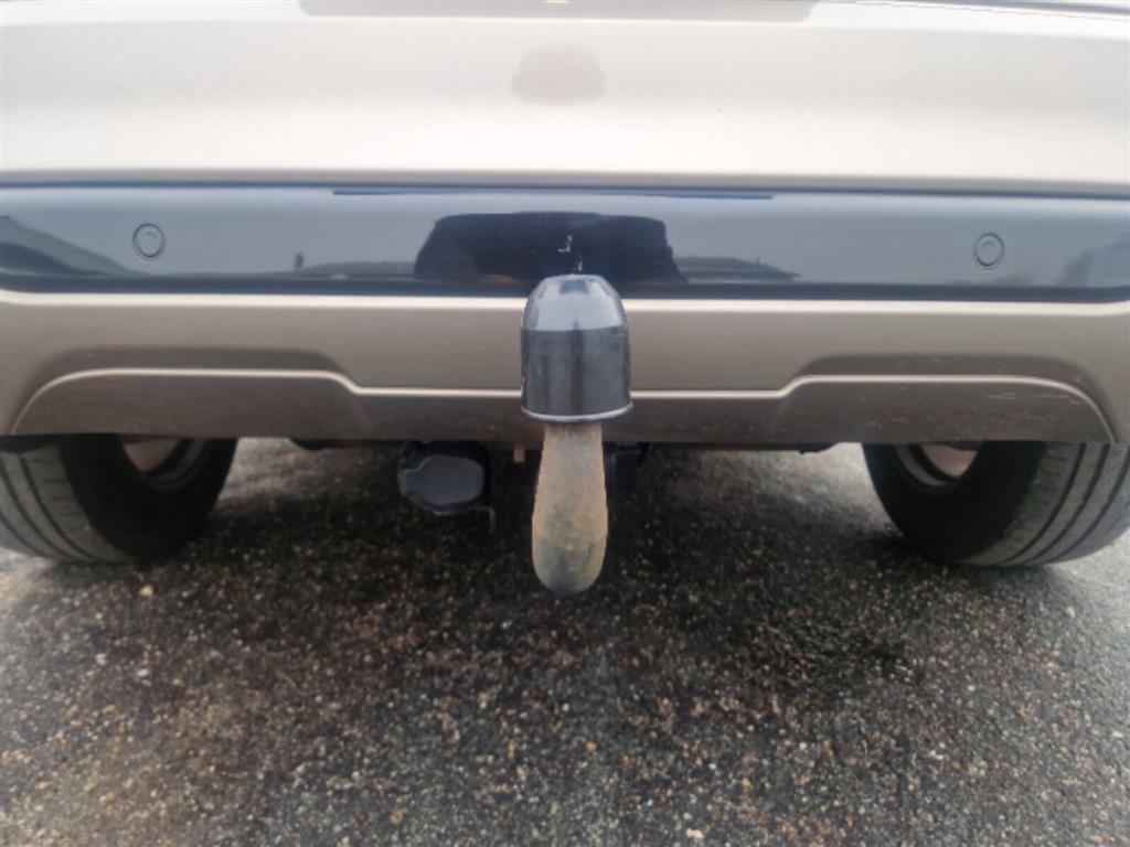 Ford Kuga ST-Line X billede 2