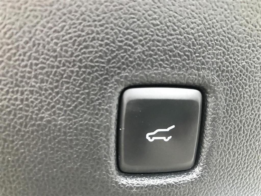 Ford Kuga Vignale billede 25