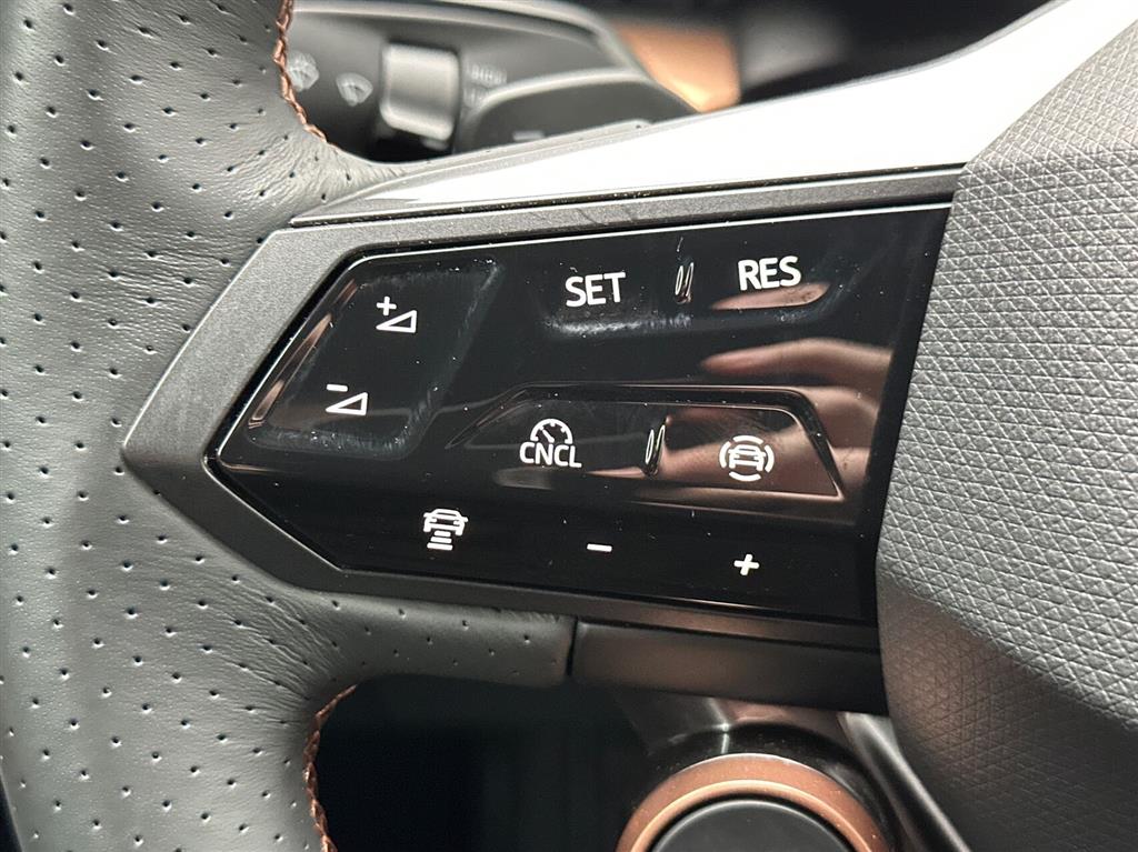 Cupra Tavascan Endurance billede 16