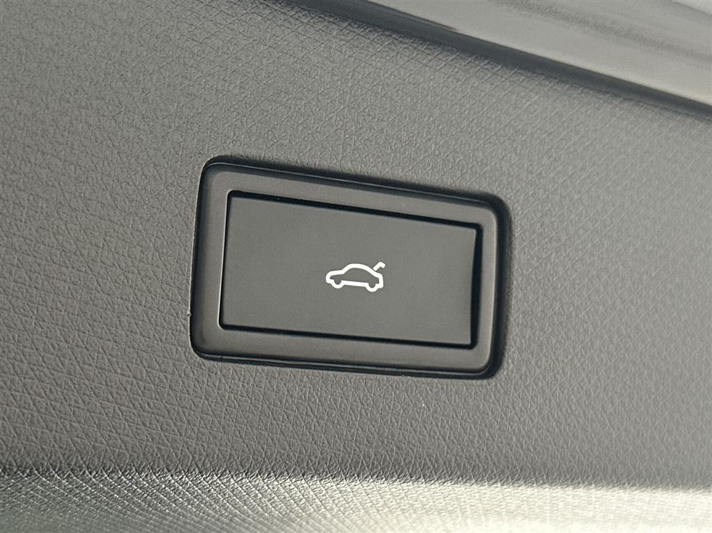 Cupra Tavascan Endurance billede 19