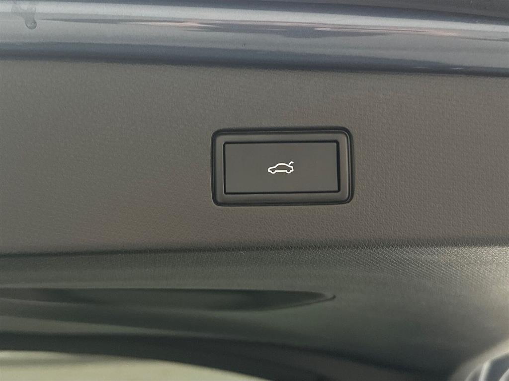 Cupra Tavascan Endurance billede 18