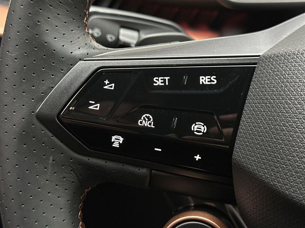 Cupra Tavascan Endurance billede 16