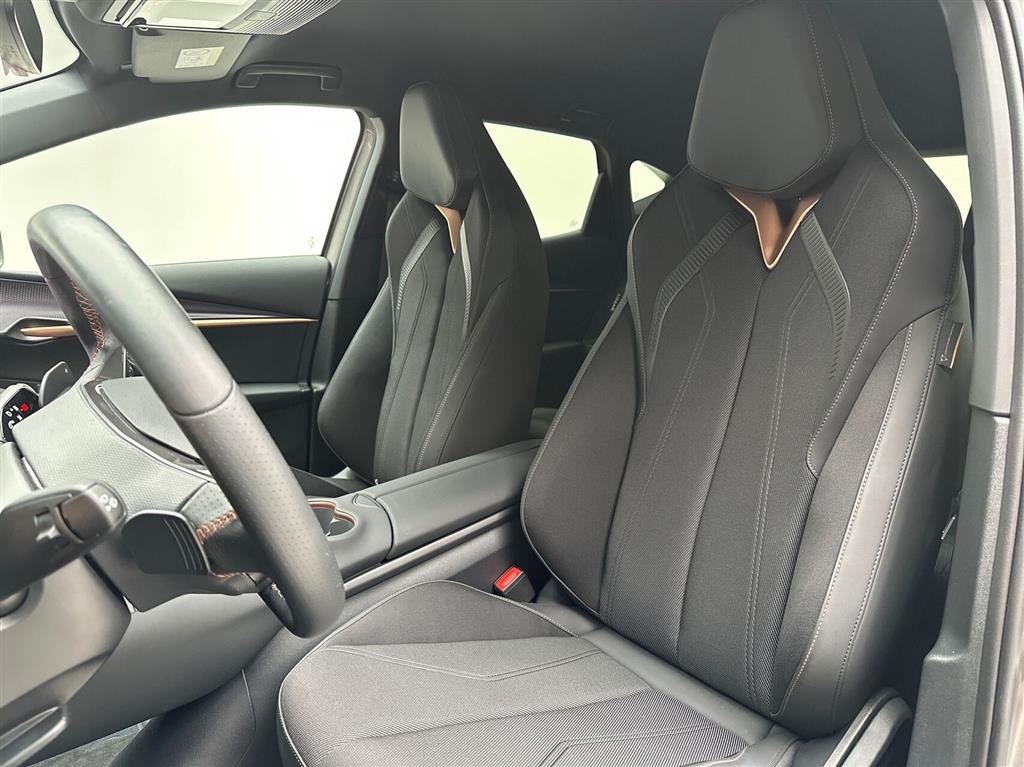 Cupra Tavascan Endurance billede 19