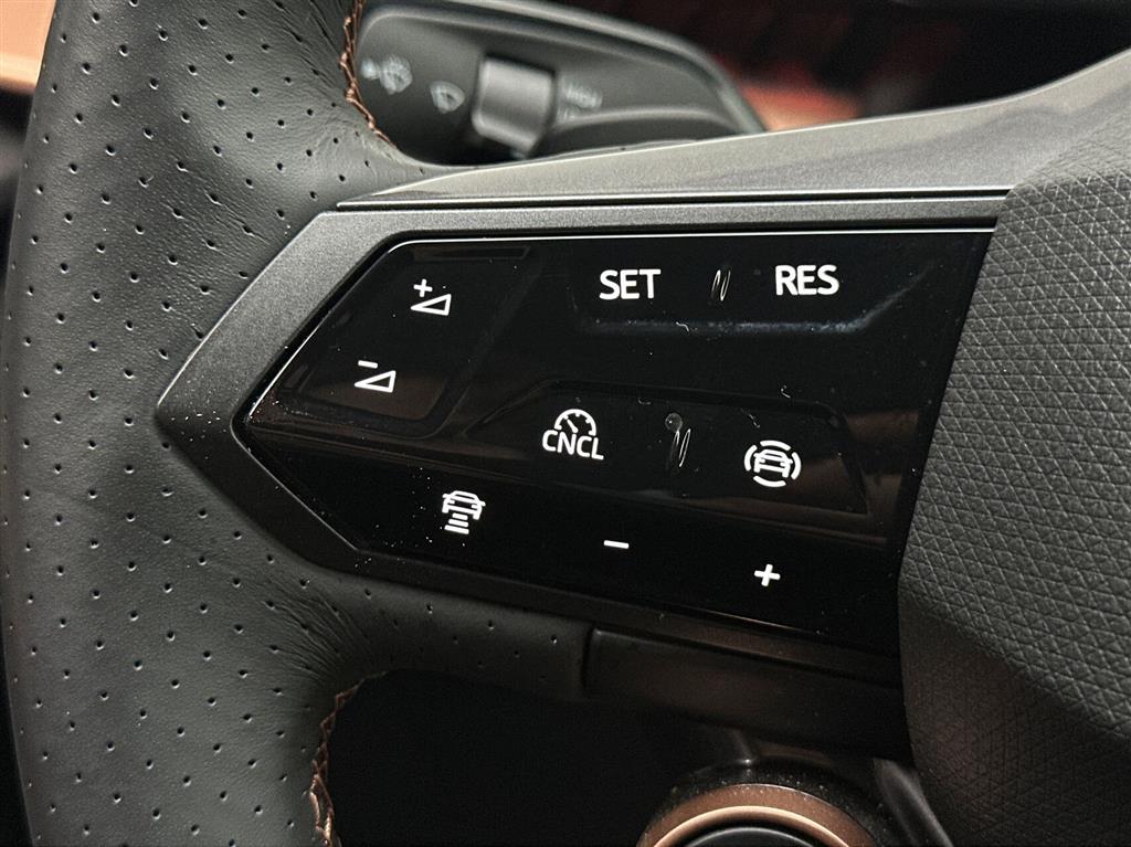 Cupra Tavascan Endurance billede 16