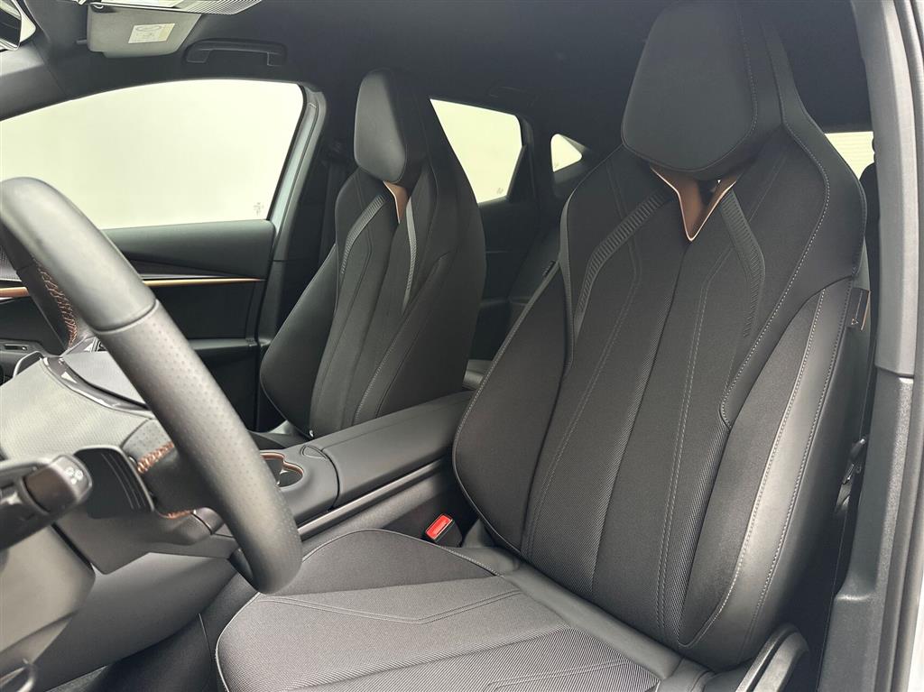 Cupra Tavascan Endurance billede 19