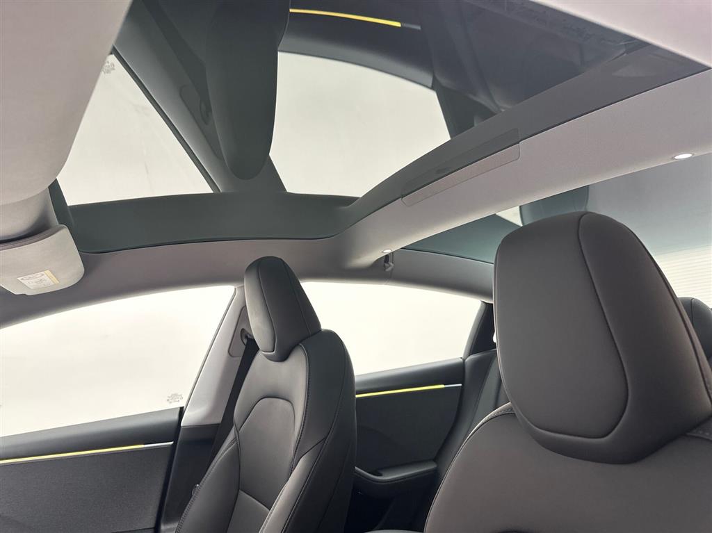 Tesla Model 3 Long Range billede 16