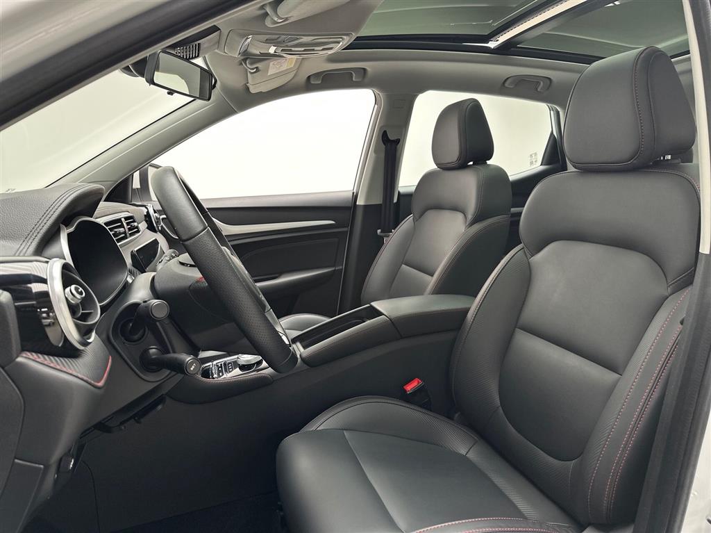 MG ZS EV Luxury billede 19