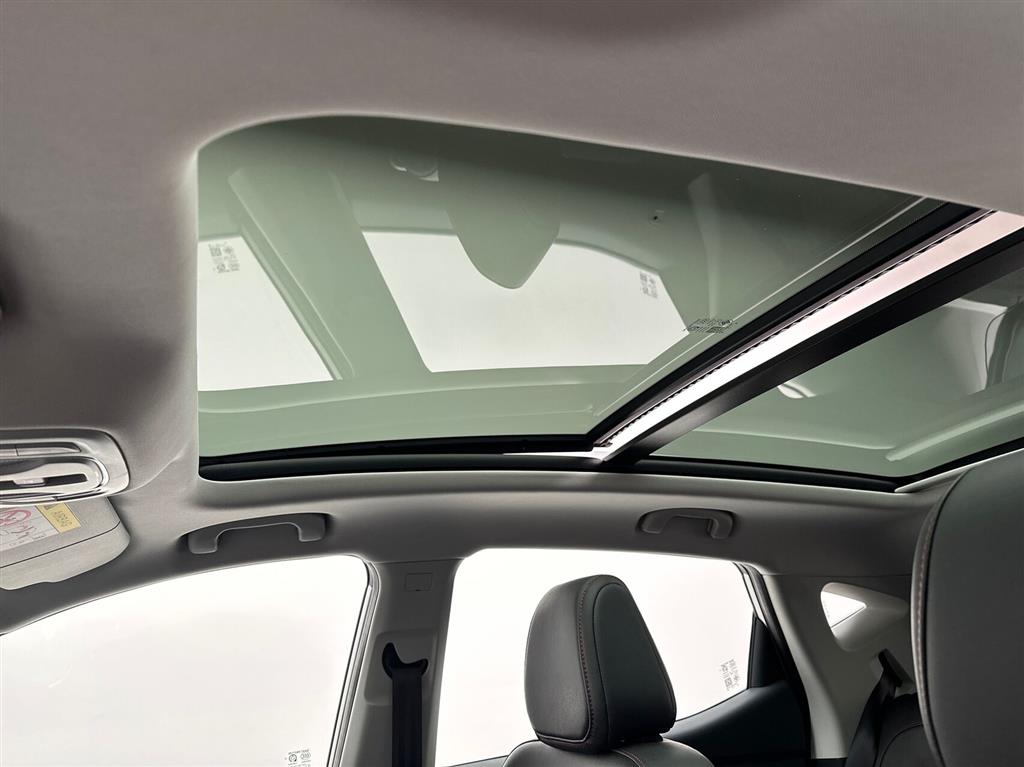 MG ZS EV Luxury billede 19