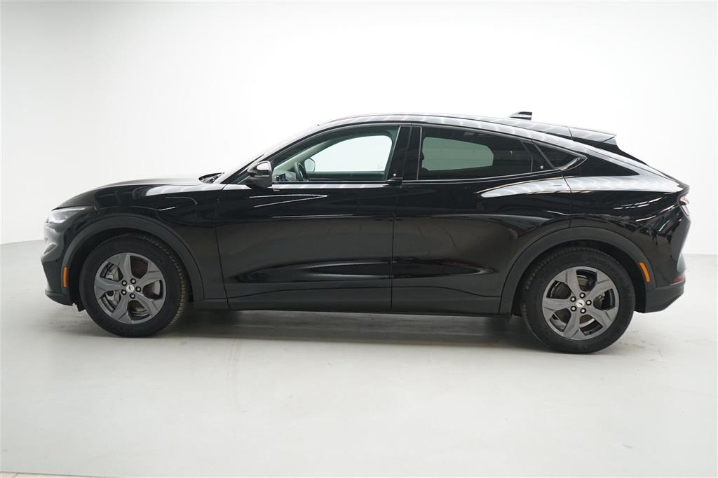 Ford Mustang Mach-E SR billede 2