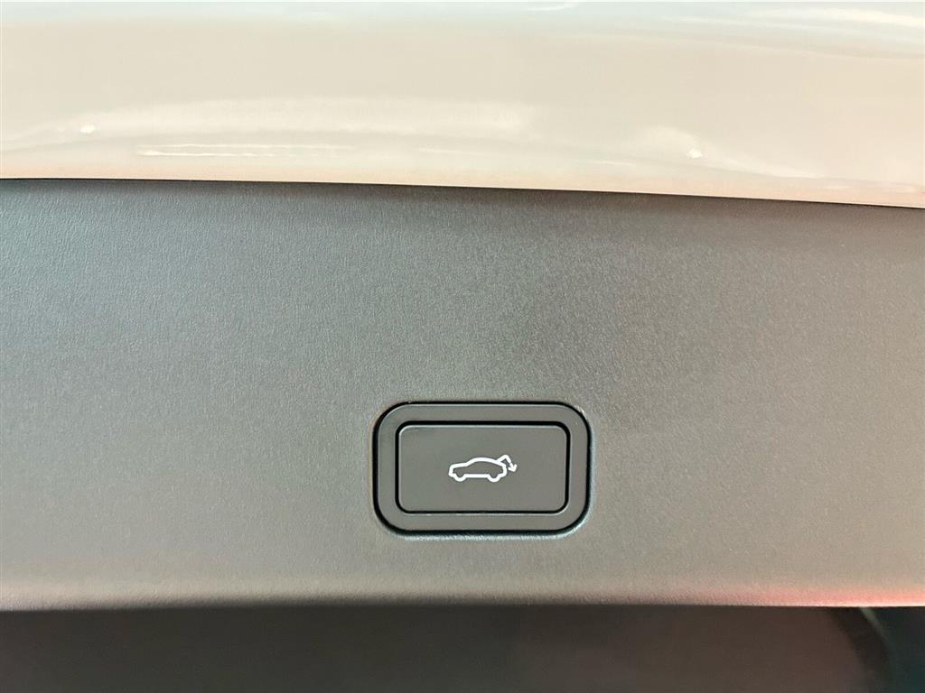 Zeekr 001 Performance billede 19