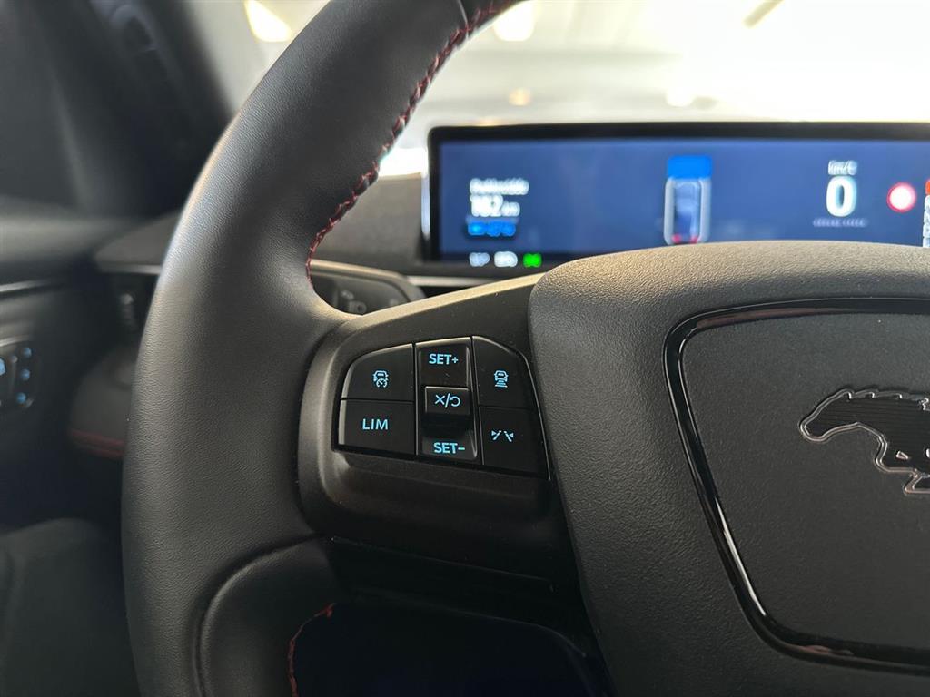 Ford Mustang Mach-E UR billede 13