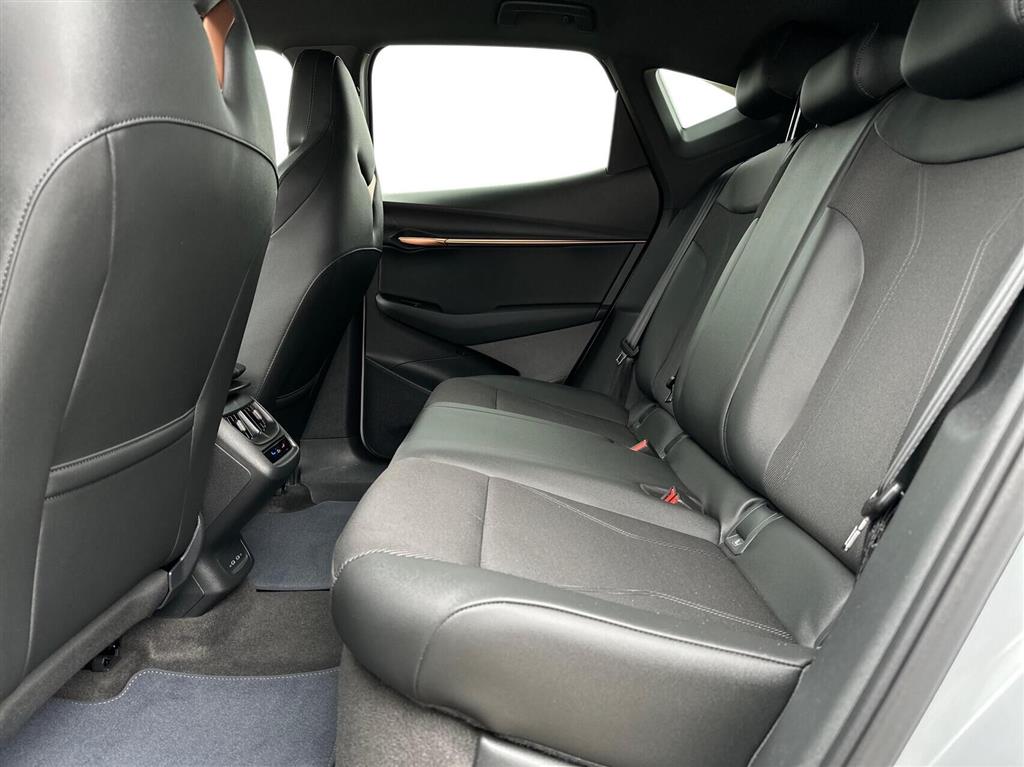 Cupra Tavascan Endurance billede 10