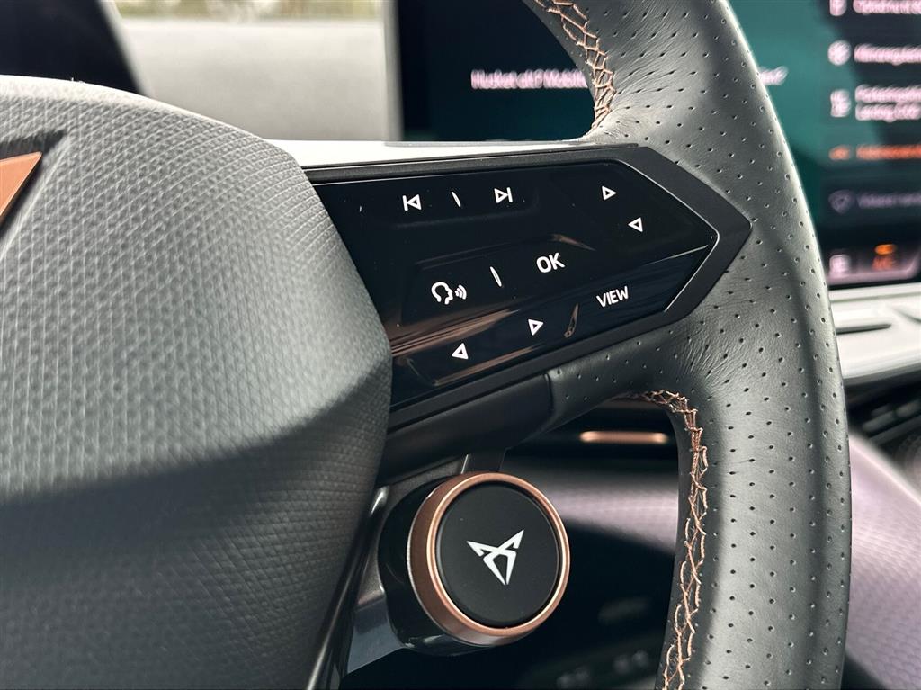 Cupra Tavascan Endurance billede 15