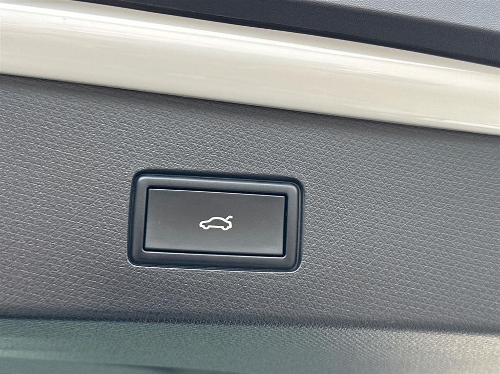 Cupra Tavascan Endurance billede 18