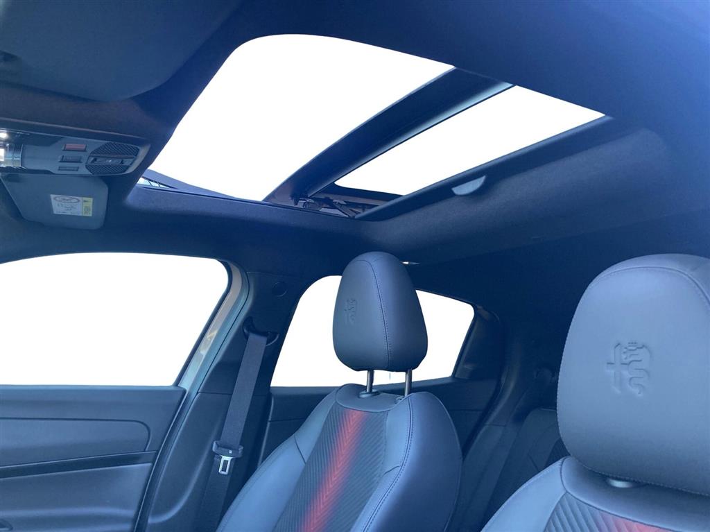 Alfa Romeo Junior Speciale billede 21