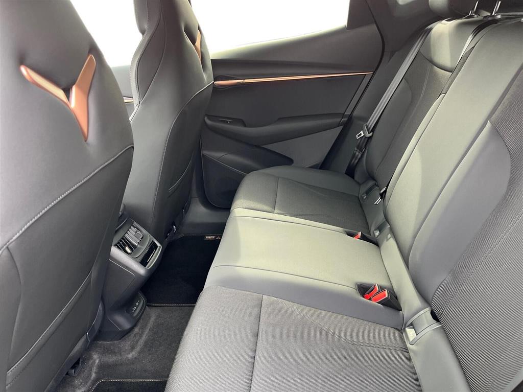 Cupra Tavascan Endurance billede 12