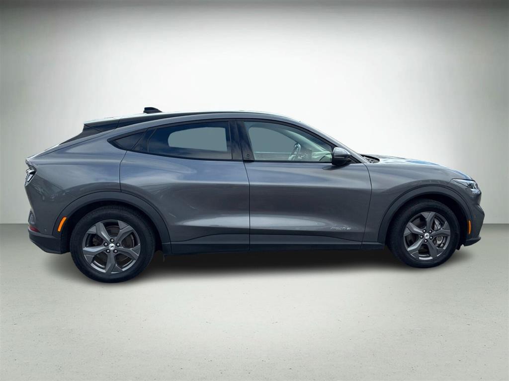 Ford Mustang Mach-E SR billede 8