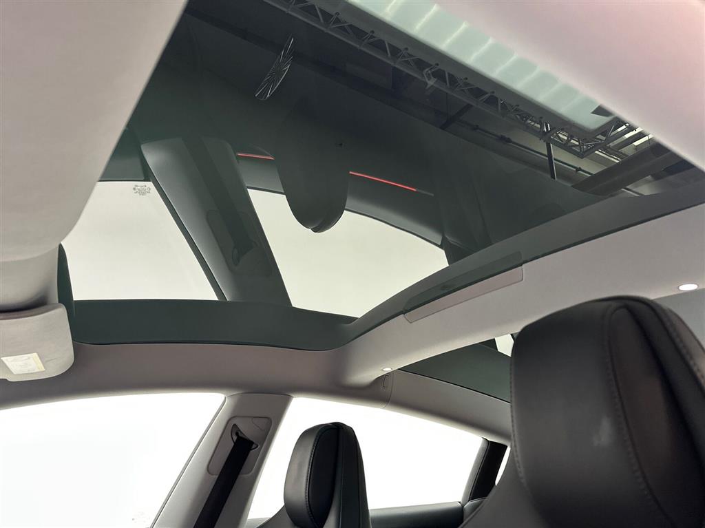 Tesla Model 3 Performance billede 19