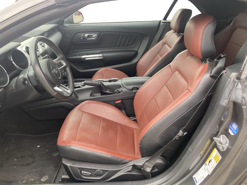 Ford Mustang GT billede 5