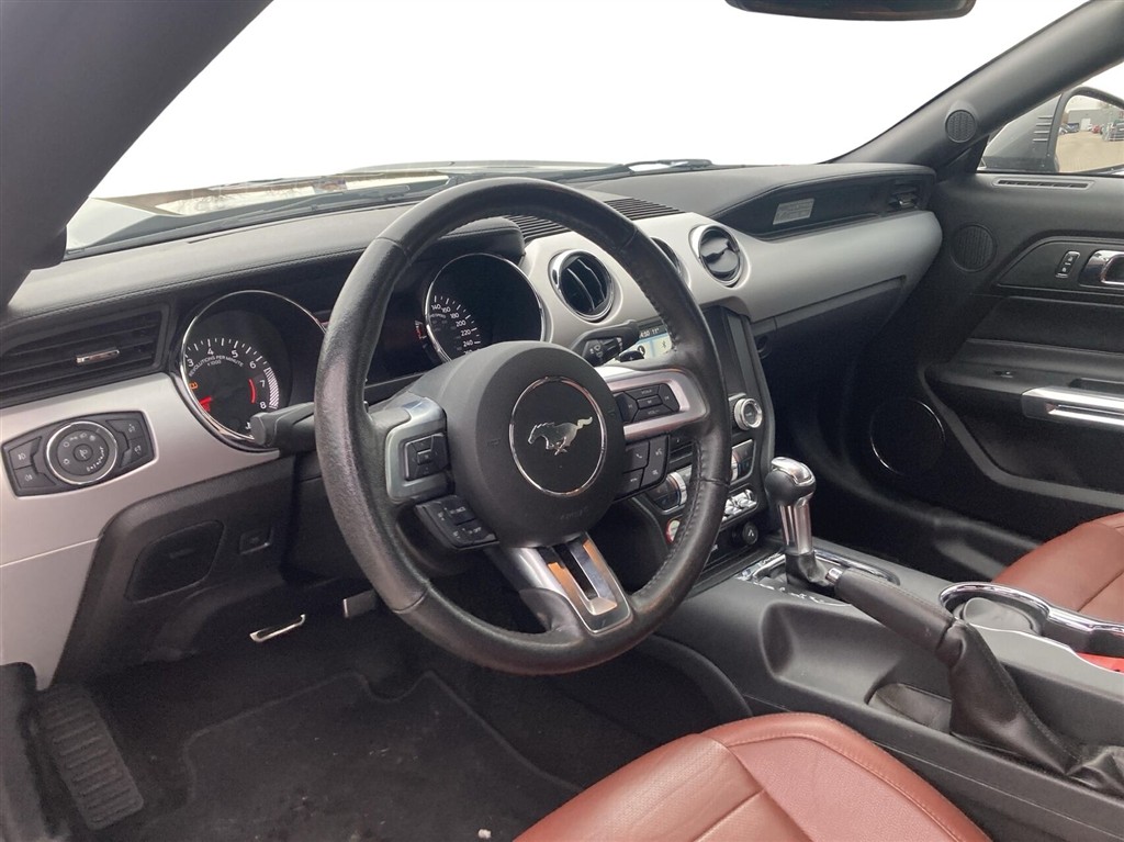 Ford Mustang GT billede 19
