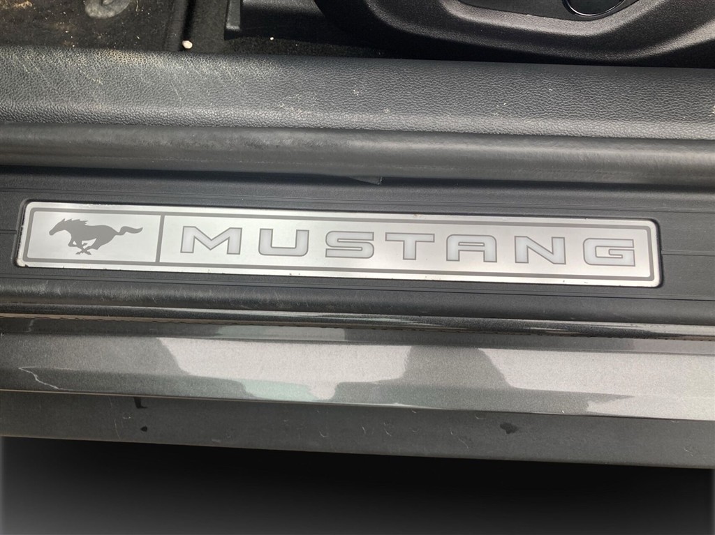 Ford Mustang GT billede 21