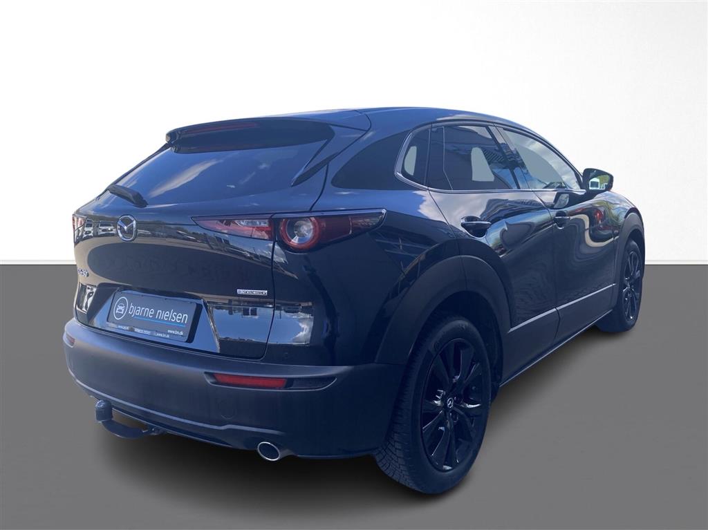 Mazda CX-30 Nagisa billede 9