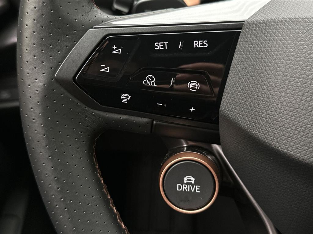 Cupra Tavascan Endurance billede 16