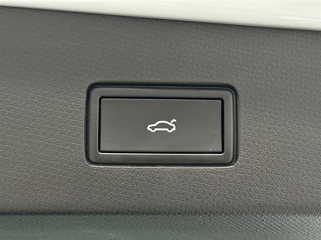 Cupra Tavascan Endurance billede 19