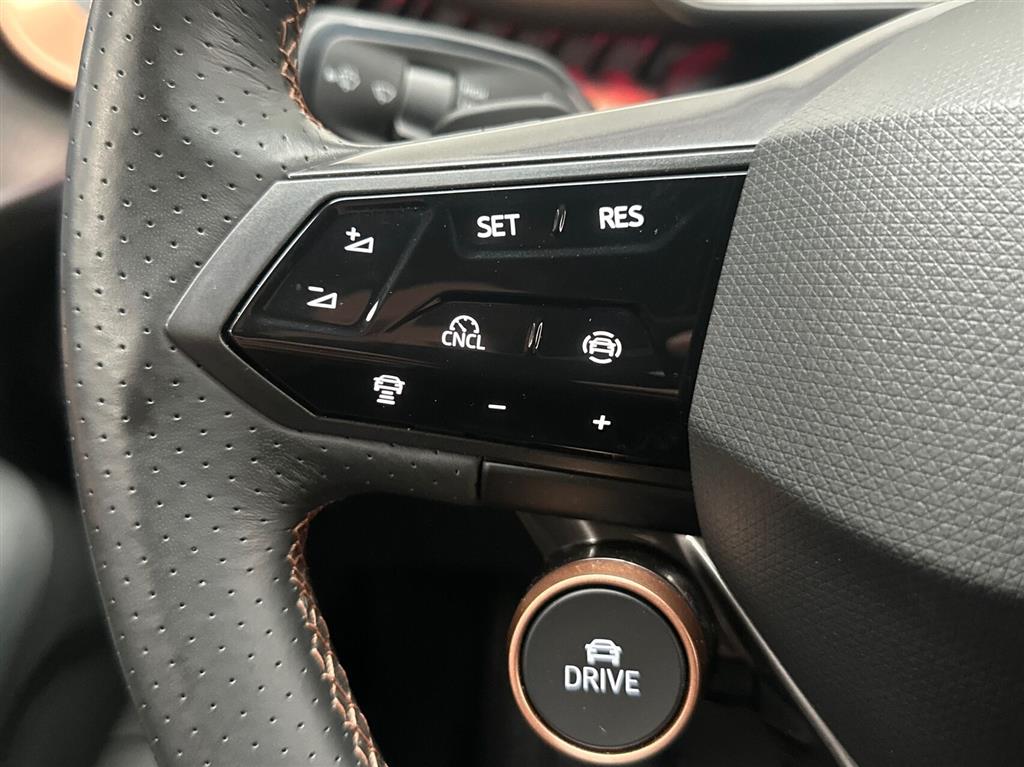 Cupra Tavascan Endurance billede 16