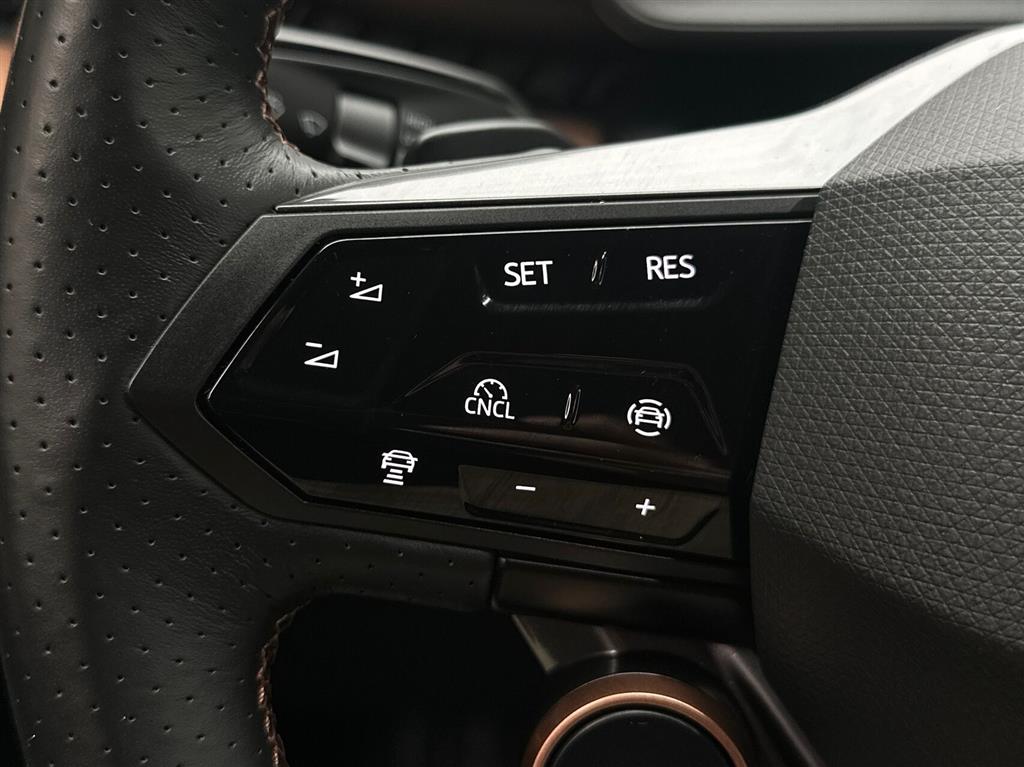 Cupra Tavascan Endurance billede 16