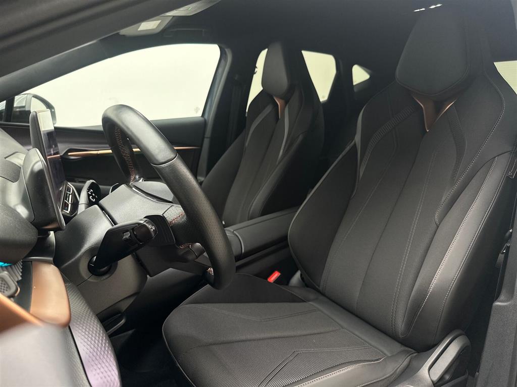 Cupra Tavascan Endurance billede 19