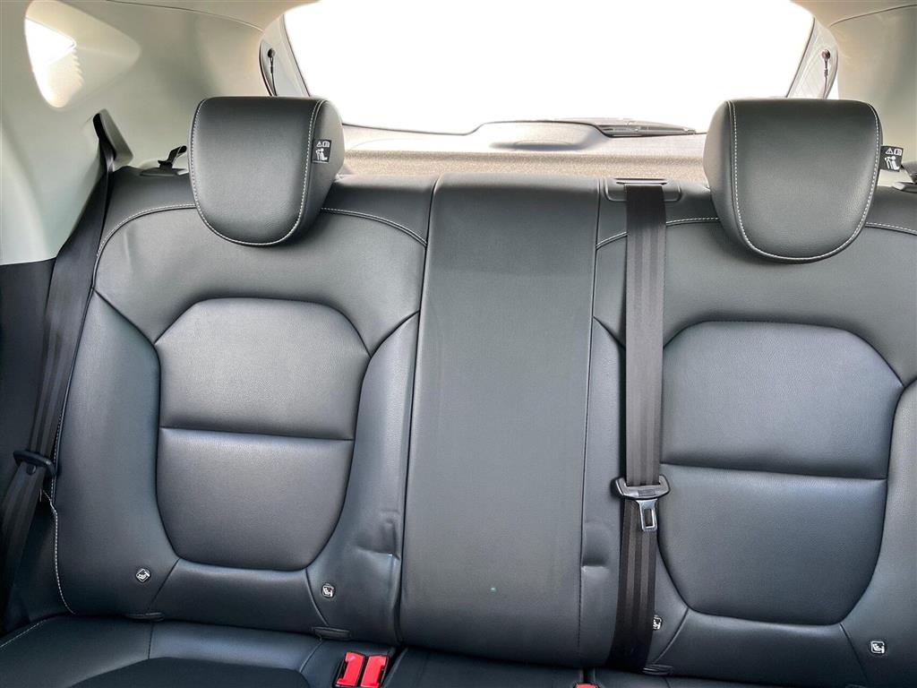 MG ZS EV Luxury billede 12