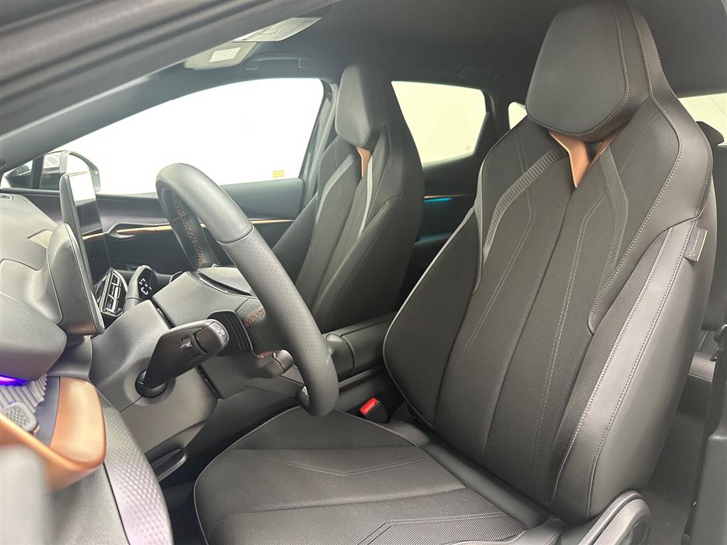 Cupra Tavascan Endurance billede 19