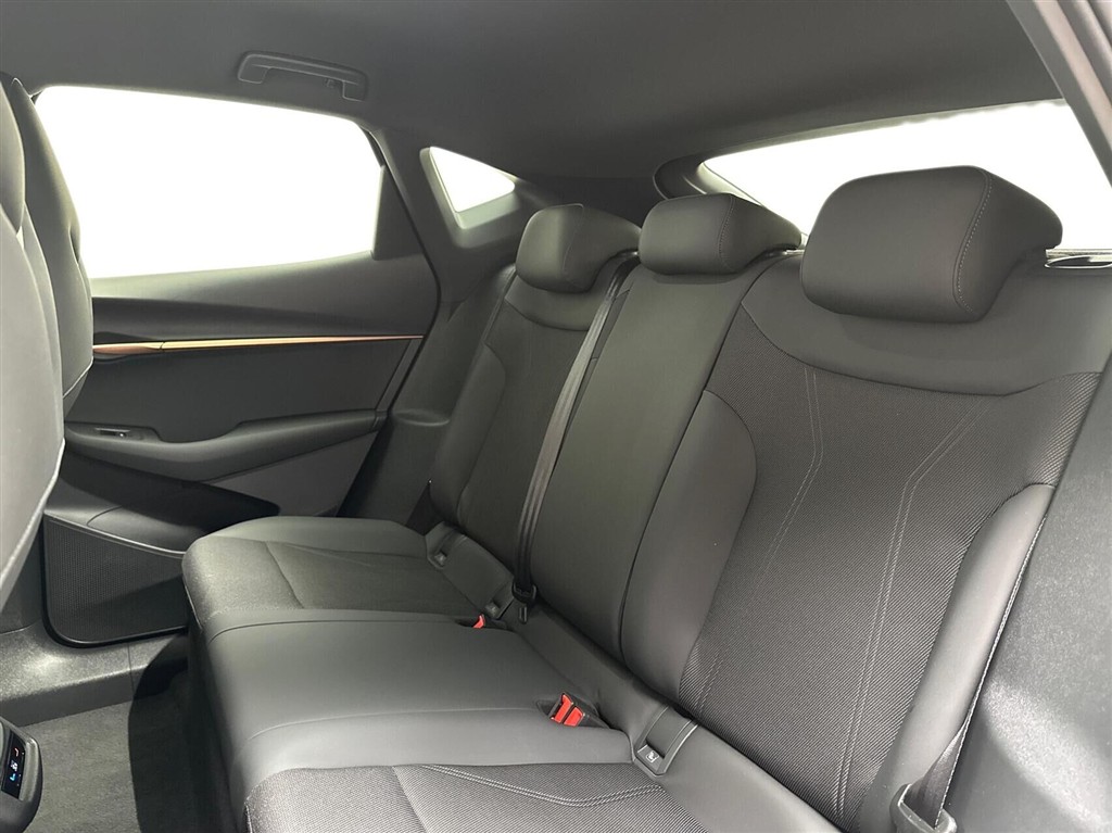 Cupra Tavascan Endurance billede 13