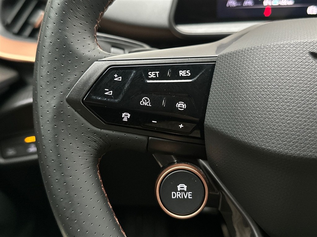 Cupra Tavascan Endurance billede 16
