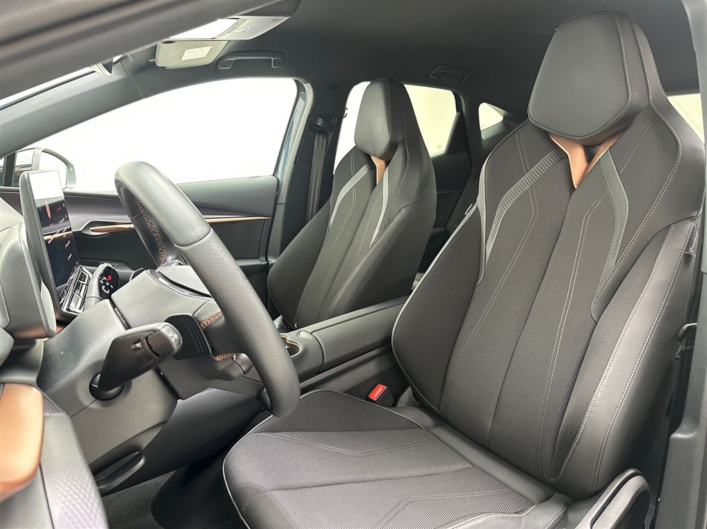 Cupra Tavascan Endurance billede 19