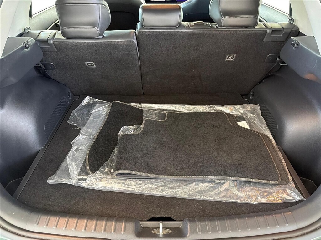 Kia Niro EV Prestige billede 13