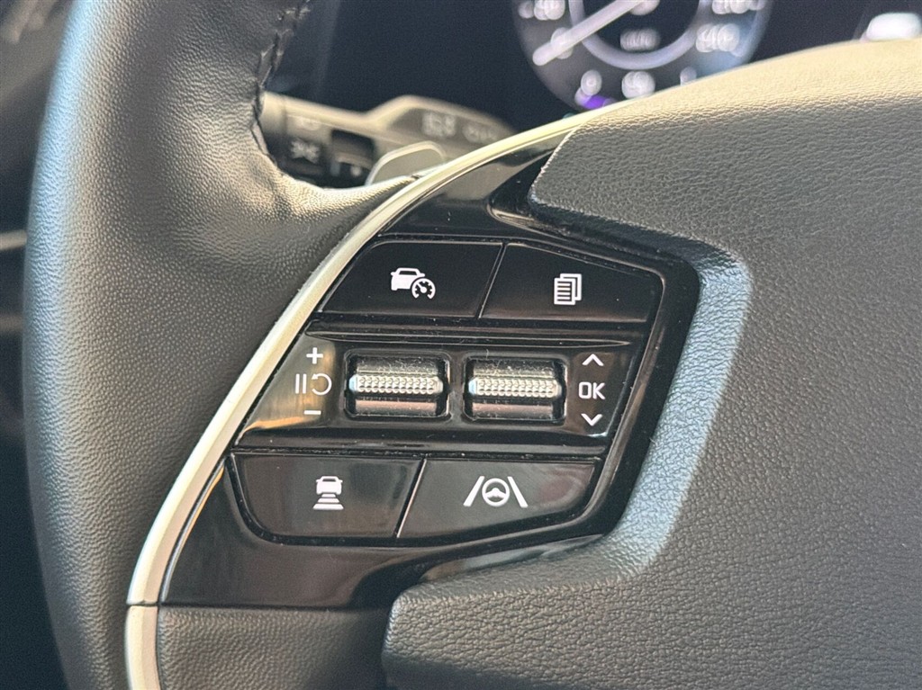 Kia Niro EV Prestige billede 17