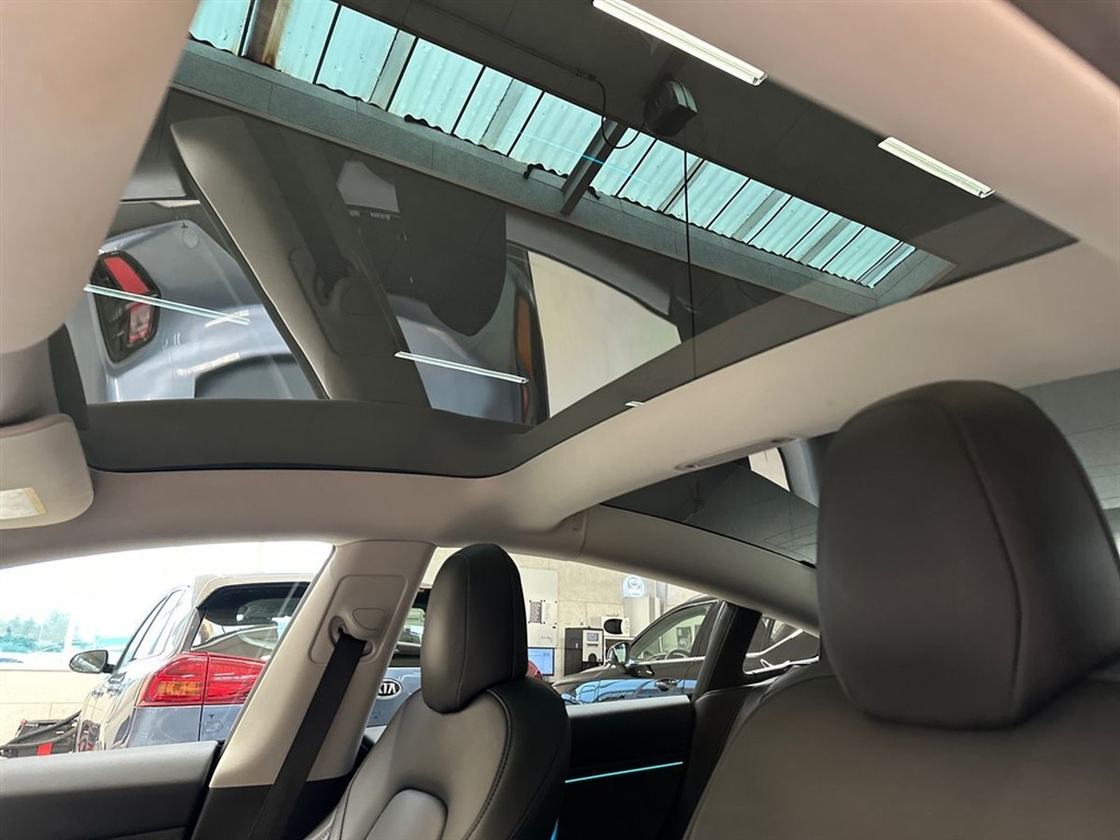 Tesla Model 3 Long Range billede 18