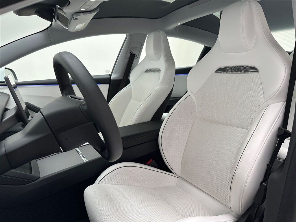 Tesla Model 3 Performance billede 19