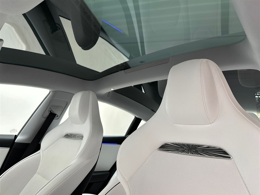 Tesla Model 3 Performance billede 21