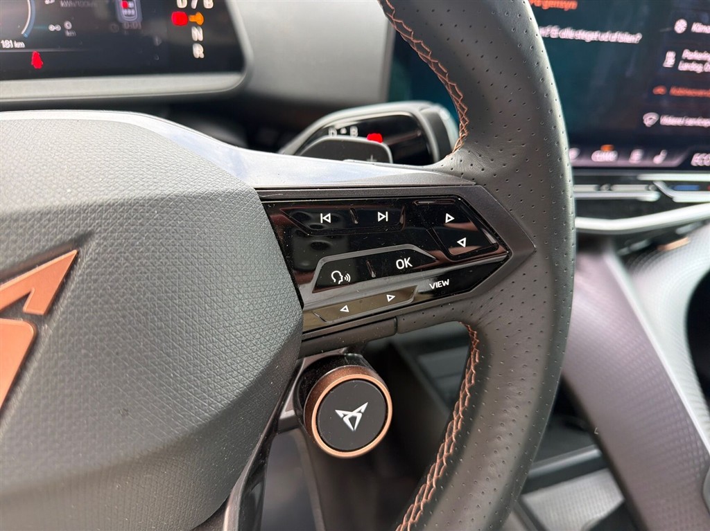 Cupra Tavascan Endurance billede 18
