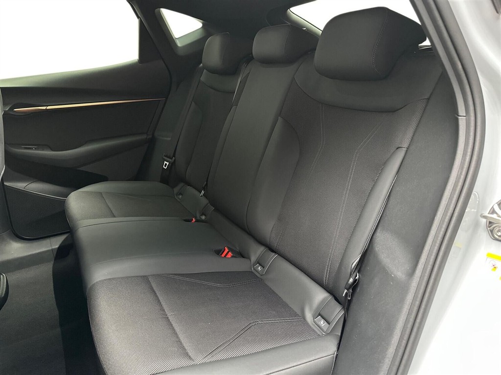 Cupra Tavascan Endurance billede 13