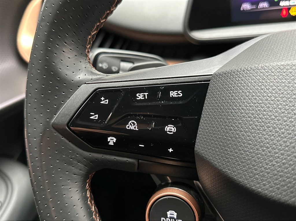 Cupra Tavascan Endurance billede 16