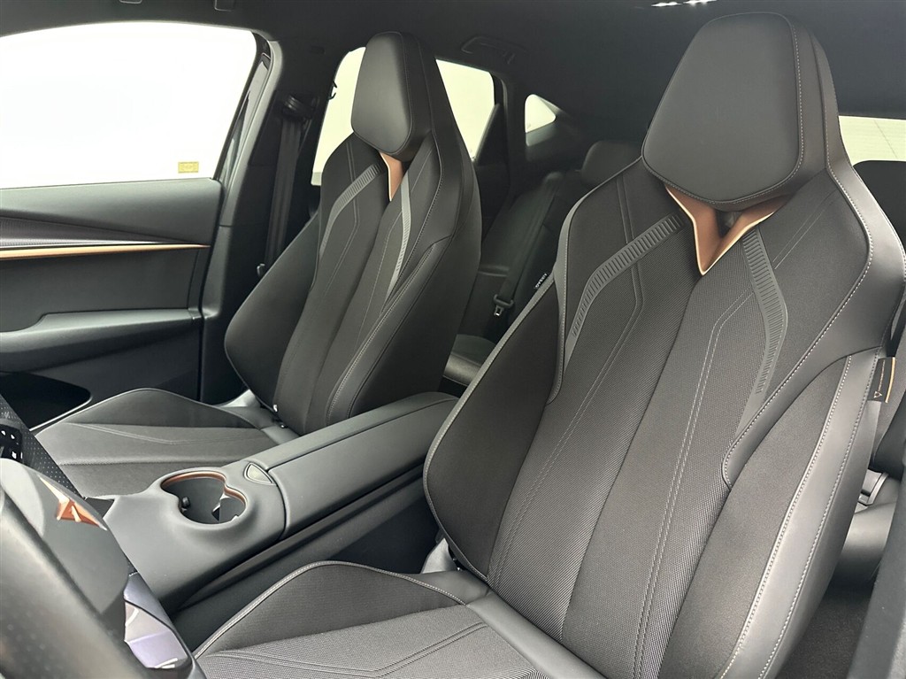 Cupra Tavascan Endurance billede 18