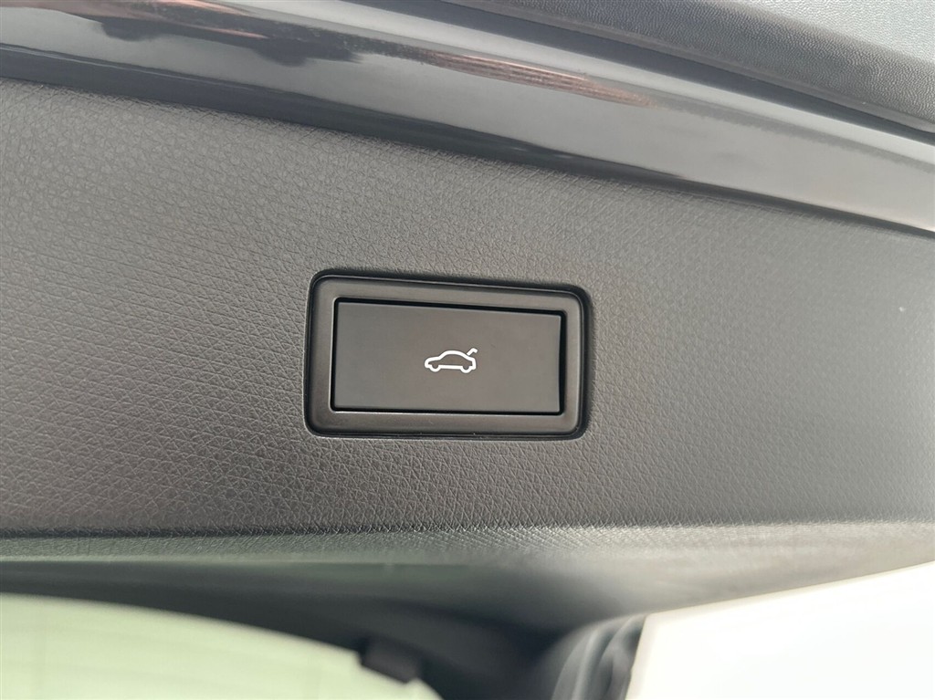 Cupra Tavascan Endurance billede 19
