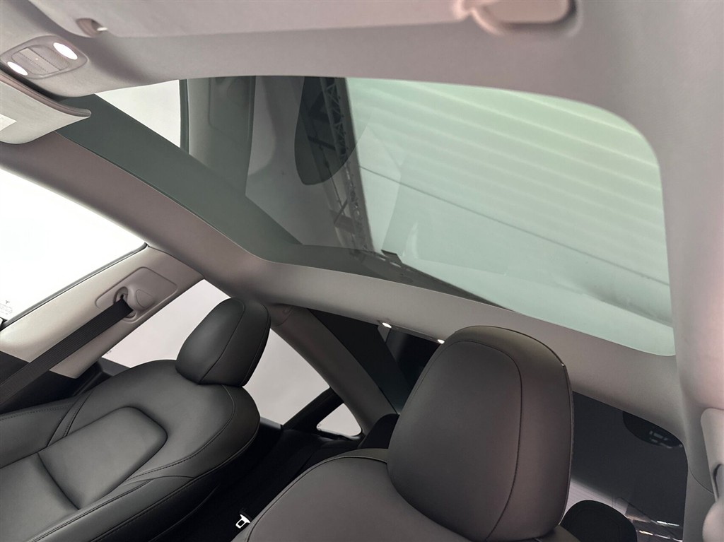 Tesla Model 3 Performance billede 20